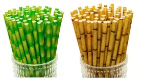 Tcj-chen 602822768641 Yeham 100 Pc 2 Colors Biodegradable Bamboo Print Paper Drinking Straws For Juice