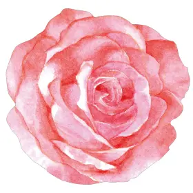 Jg-teling-484 Teling 100 Packs Pink Floral Disposable Placemats 13 Large As Picture Show