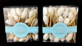 Twos Company 019218354928 Seashell Hors Dft Oeuvre Appetizer Toothpicks 100 Party Picks