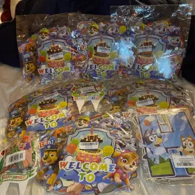 45-141-22-00-01 Unique Large Kids Birthday Party Supplies Bundle - Includes Bluey-cocomelon-pawpatrol