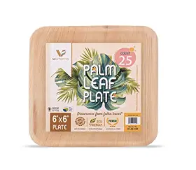 Verterra 812478011224 6-inch Palm Leaf Plate Square Premium Heavy Duty Eco-friendly Dinnerware L