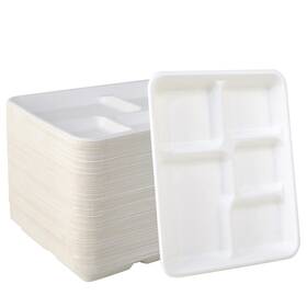 Vplus Vp10-500-gzjfpq5g 500 Pack 5 Inch Compostable Paper Plates Eco Friendly Disposable Trays