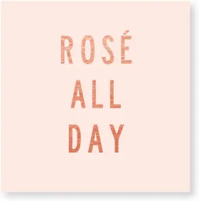 X&o Paper Goods 636225771335 Pink Ftftros All Dayftft Beverage And Cocktail Napkins 20pc 5ft