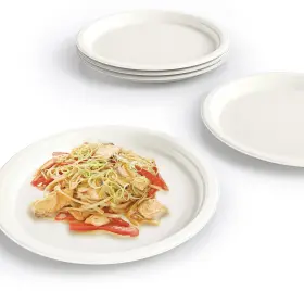 Yongzhukang 736961574044 Paper Plates Disposable Compostable Heavy Duty 9 Inch Biodegradable Sugarcane