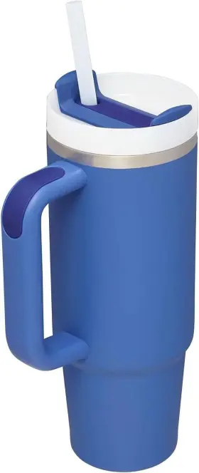 30oz-iris Youexpert 30 Oz Tumbler With Handle And Straw 30oz Stainless Iris