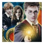 Harry Potter Hallmark Party Express Paper Napkins 16CT Order Of The Phoenix New. Price: $16.46.