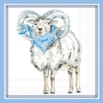 Boston International 3-PLY 5" Cocktail Napkins 20 Count Hometown Pride/ B... New. Price: $6.99.
