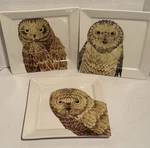 Creative Co-op Owl Decorative Plate X10 Lot Of 3 Animal, Birds New. Price: $33.29.