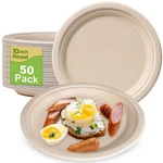 Paper 10 Inch, 50 Pack Compostable Disposable Plates, Eco Friendly Rec... New. Price: $24.09.