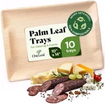 Compostable Palm Leaf Serving Trays, 10X14 Inch Rectangular Disposable Platte... New. Price: $44.51.