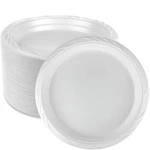 Blue Sky 100 Count Disposable Plastic Plates, 9-INCH, White New. Price: $32.57.