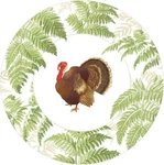 Caspari Round Paper Dinner Plates, Turkey Among Ferns - 2 Packs (18770DP) New. Price: $25.00.