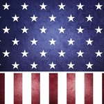 40 Pack American Flag Lunch Napkins Disposable Paper Patriotic Party Supplies New. Price: $8.98.