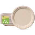Paper Plates 9 Inch 50 Pack Eco Friendly Disposable 100% Compostable New. Price: $24.19.