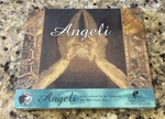 Angeli, Joe T. Vannelli, New Electronic 20003 Brand Cd. Cutout- Promo. Price: $10.99.