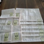Newbridge Nobel Woven Ivory Set Of 6 Placemats & Napkins. Price: $27.99.