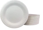 Concession Essentials 6" Paper Plates Uncoated, Disposable Dessert White New. Price: $14.98.