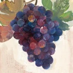 Paperproducts Design Beverage Napkins Cocktail Wine Country Red New. Price: $8.88.
