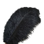 Sowder 10PCS Ostrich Feathers 12-14INCH(30-35CM) For Home Wedding Decoration(... New. Price: $22.39.