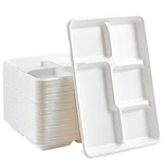 Vplus 100% Compostable 5 Count (pack Of 1), Compartment Plates New. Price: $52.98.