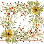 Boston International Ihr Rosanne Beck 20-COUNT 3-PLY Lunch Paper Napkins New. Price: $15.19.