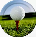 Sports Fanatic Golf 9 Inch Plates 8 Pack Birthday Party Decorations New. Price: $14.99.