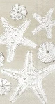 Dinner Napkins Disposable 3-PLY Paper Hand Towels, 8.5" X 4.5", Beach Treasur... New. Price: $15.30.