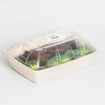 Sabert Clear Dome Lid For 20 Oz And Takeout Containers, 9" X 6" 300/CASE New. Price: $193.58.