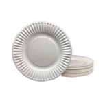 The Green Standard 6-INCH Paper Plates Uncoated, White 100 New. Price: $16.84.