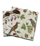 Caspari Paper Luncheon Napkins, Jeweled Birds - 2 Packs (6860L) New. Price: $10.50.