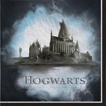 Hogwarts Harry Potter Wizarding World Kids Birthday Party Paper Luncheon Napkins New. Price: $13.99.