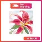 Ihr Ideal Home Range Party Napkins Disposable 3-PLY Paper Lunch Pack, 6.5 New. Price: $10.52.