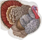 Caspari Paper Linen Die-cut Luncheon Napkins, Turkey Packs (18250LGDC) New. Price: $31.25.