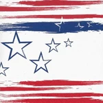 40 Pack Stars 'n Stripe Lunch Napkins Disposable Paper Patriotic Party Supplies New. Price: $8.98.