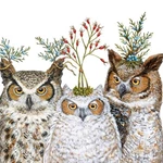 Paperproducts Design Beverage Napkins, Holiday Hoot - Packs (1253590) New. Price: $19.99.