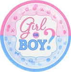 Girl Or Boy Pink Blue Gender Reveal Baby Shower Party 7" Paper Dessert Plates New. Price: $9.99.
