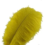 Sowder 10PCS Ostrich Feathers 12-14INCH(30-35CM) For Home Wedding Decoration(... New. Price: $22.78.