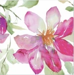 Cypress Home 3-PLY Lunch Napkins 20 Count Pink Floral Dream New. Price: $9.09.