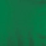 Creative Converting Beverage Napkin, One Size, Emerald Green 20 Ct New. Price: $11.99.