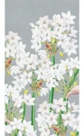 Caspari - Paperwhites Silver Guest Towel Napkins New. Price: $7.99.