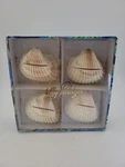 Nib Lilly Pulitzer Seashell Place Holders Coastal Beach - Set Of 4 No Cards New. Price: $17.95.
