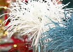 Valerie Glitter Berry Burst Picks White Open. Price: $26.99.