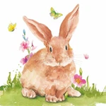 Paperproducts Design Easter Spring Beverage Napkins, Mr. Rabbit New. Price: $8.88.