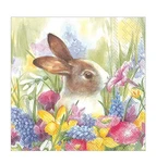 Easter Party Napkins Paper Decorative Disposable Decorations R... New. Price: $25.27.