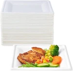 150 Pieces Compostable Square Plates 6 Inch Disposable Paper Eco-friendly New. Price: $35.05.