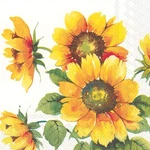 Boston International Ihr 20-COUNT Luncheon 3-PLY Paper Napkins, 6.5 X New. Price: $16.99.