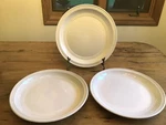 Mainstay Set Of White Rainforest 10 3/4 Stoneware Dinner Plates Used. Price: $28.00.