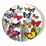 Michel Design Works Melamine Dinner Plate (papillon) Used. Price: $11.99.