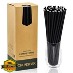 Chunspak Black Paper Straws Stirrers, 250CT 10" Disposable Unwrapped New. Price: $34.99.