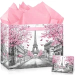 Pink Paris Theme Birthday Gift Bag For Women Girls Baby Shower Eiffel Tower New. Price: $13.91.
